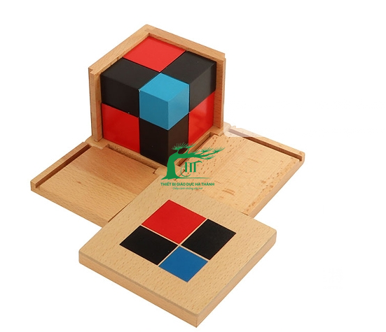 Nhị thức - Binomial Cube(Beechwood +Plywood) / HT7-10